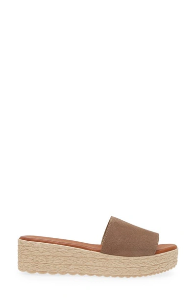 Cordani Bizzy Espadrille Platform Wedge Slide Sandal In Taupe Suede
