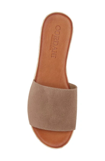 Cordani Bizzy Espadrille Platform Wedge Slide Sandal In Taupe Suede