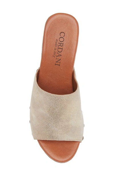 Shop Cordani Whitley Shimmer Platform Slide Sandal In Granito Corda