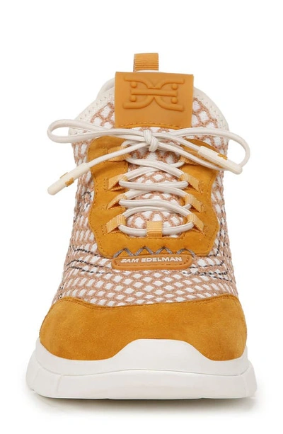 Shop Sam Edelman Chelsie Knit Sneaker In Washed Daisy/ Dark Sunflower