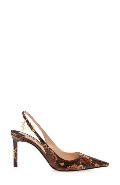 Tom Ford Ayers Pointed Toe Slingback Pump In Dark Whisky