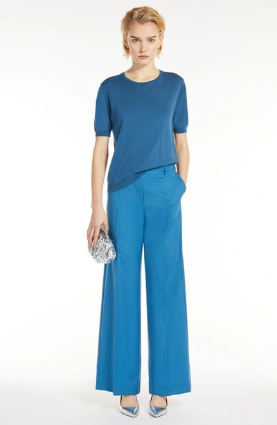 Shop Max Mara Visivo Virgin Wool Wide Leg Pants In Avio