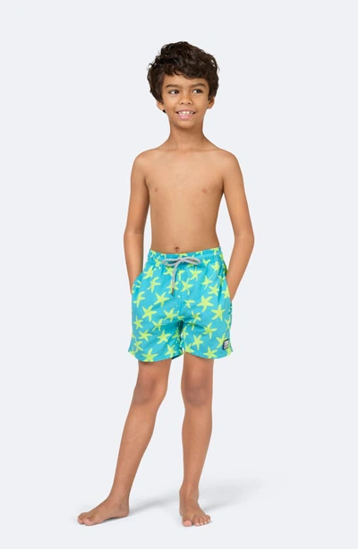 Shop Tom & Teddy Kids' Starfish Print Swim Trunks In Sky & Yellow