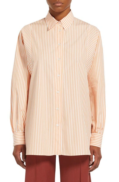 Shop Max Mara Fufy Stripe Cotton Button-up Shirt In Orange