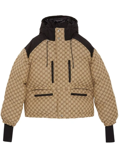 Shop Gucci Jackets In Camel/ebony/mix
