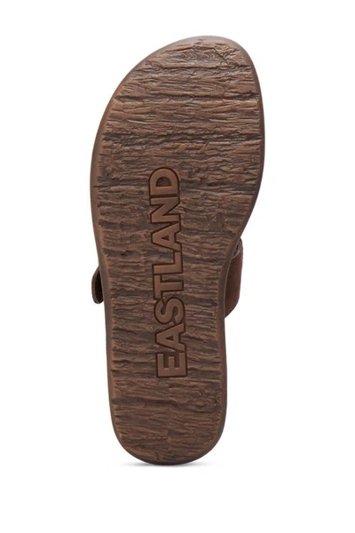 Shop Eastland Emilia Buckle Sandal In Brown