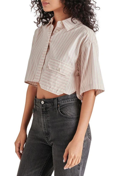 Shop Steve Madden Tristan Stripe Oversize Crop Button-up Shirt In Rose Taupe