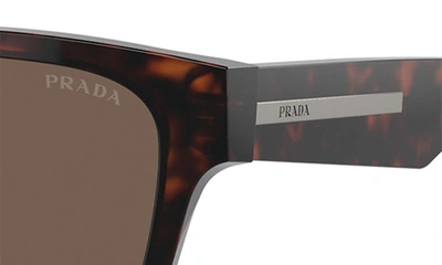 Shop Prada 54mm Pillow Sunglasses In Havana