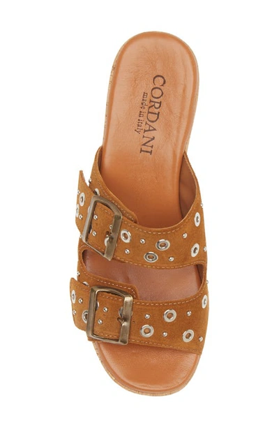 Shop Cordani Jayne Platform Wedge Slide Sandal In Crosta Clove