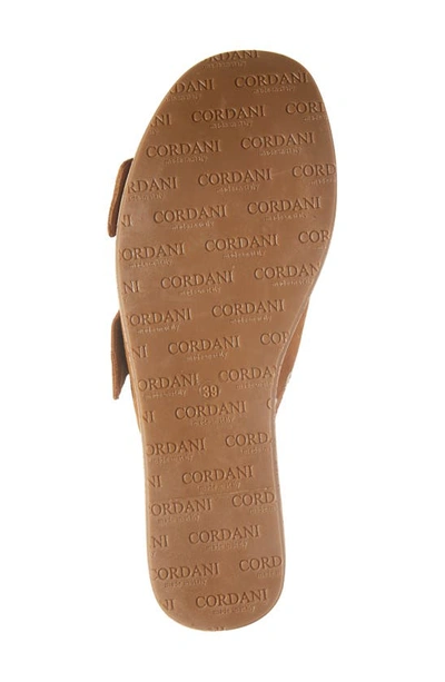 Cordani Jayne Platform Wedge Slide Sandal In Crosta Clove
