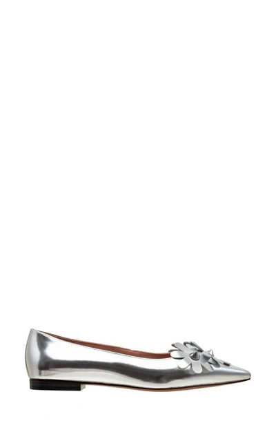 Linea Paolo Narcisus Pointed Toe Flat In Silver