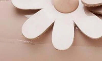 Linea Paolo Narcisus Pointed Toe Flat In Beige Patent