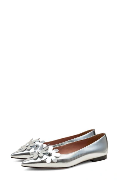 Linea Paolo Narcisus Pointed Toe Flat In Silver