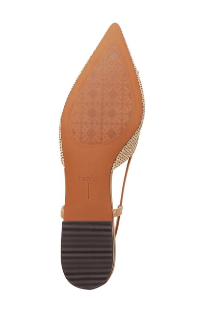 Shop Linea Paolo Carmen Slingback Pointed Toe Flat In Tan/ Desert