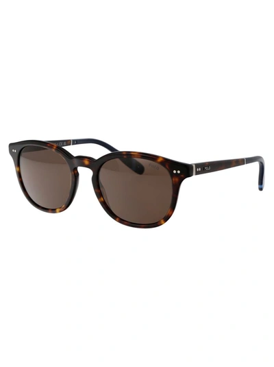 Shop Polo Ralph Lauren Sunglasses In 500373 Shiny Dark Havana