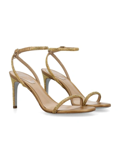Shop René Caovilla Ellabrita Sandals 85 In Gold Satin