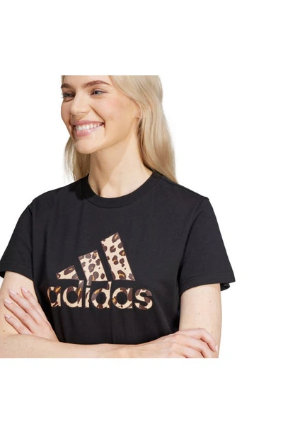 Shop Adidas Originals Animal Print Logo Cotton T-shirt In Black
