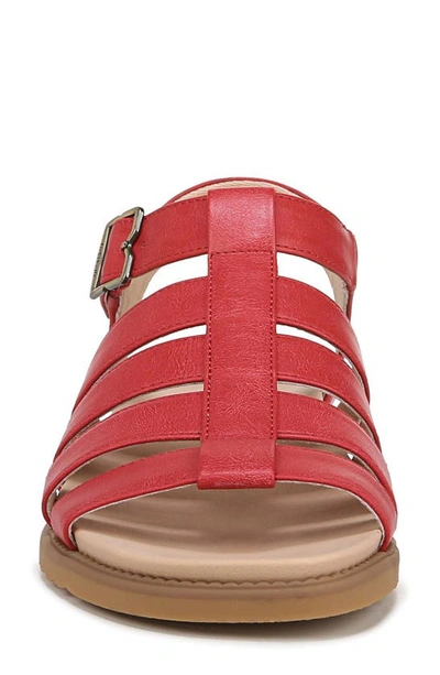 Shop Dr. Scholl's A Ok Gladiator Sandal In Red