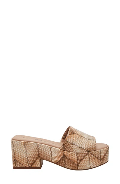 Shop Katy Perry The Busy Bee Platform Slide Sandal In Tan Multi