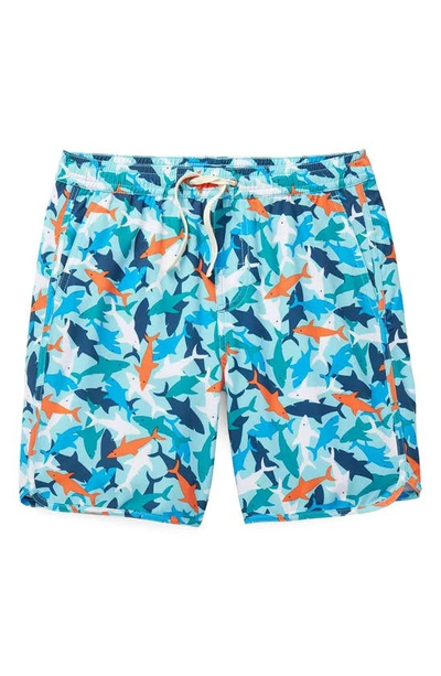 Shop Fair Harbor Kids' Anchor Shark Print Water Repellent Swim Trunks In Reef Sharks