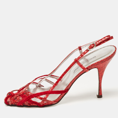 Pre-owned Dolce & Gabbana Red Python Leather Ankle Strap Sandals Size 39