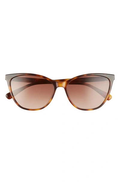 Shop Longchamp Le Pliage 57mm Gradient Cat Eye Sunglasses In Havana