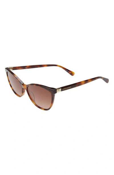 Longchamp Le Pliage 57mm Gradient Cat Eye Sunglasses In Havana