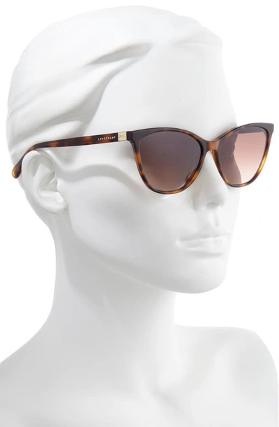 Shop Longchamp Le Pliage 57mm Gradient Cat Eye Sunglasses In Havana