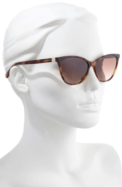 Longchamp Le Pliage 57mm Gradient Cat Eye Sunglasses In Havana