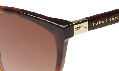 Longchamp Le Pliage 57mm Gradient Cat Eye Sunglasses In Havana