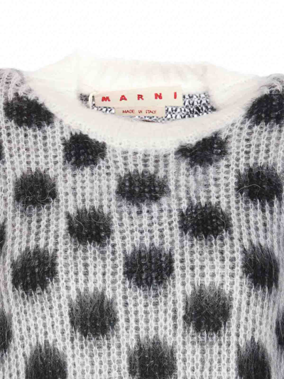 Shop Marni Polka Dot Sweater In Gris