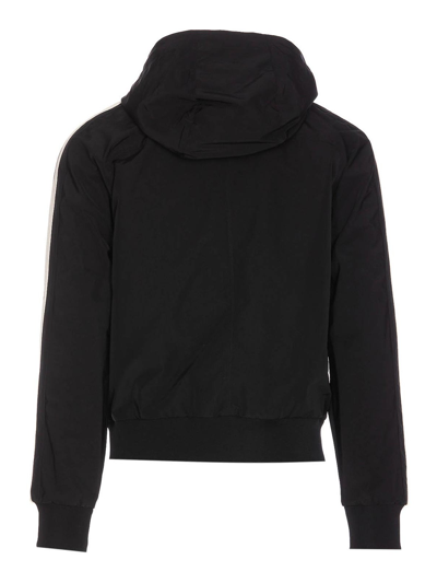 Palm Angels Nylon Blend Windbreaker With Ribbed Cuffs And Stand Collar In Black