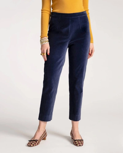 Shop Frances Valentine Lucy Stretch Velvet Pant In Midnight In Multi