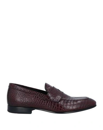 Shop Giovanni Conti Man Loafers Burgundy Size 8 Leather In Red
