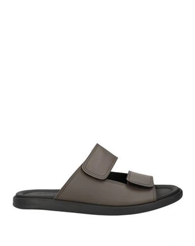 Shop Giovanni Conti Man Sandals Lead Size 9 Leather In Grey