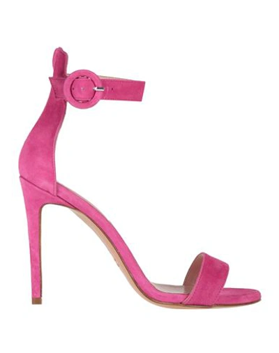 Shop Anna F . Woman Sandals Fuchsia Size 7.5 Leather In Pink