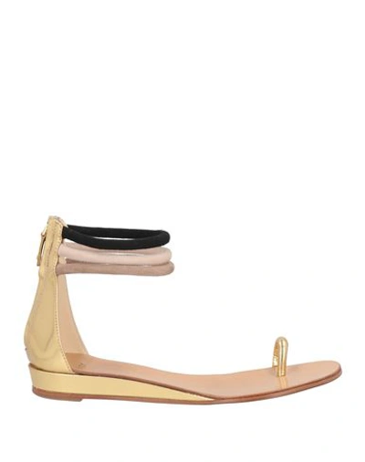 Shop Hazy Woman Thong Sandal Gold Size 8 Leather