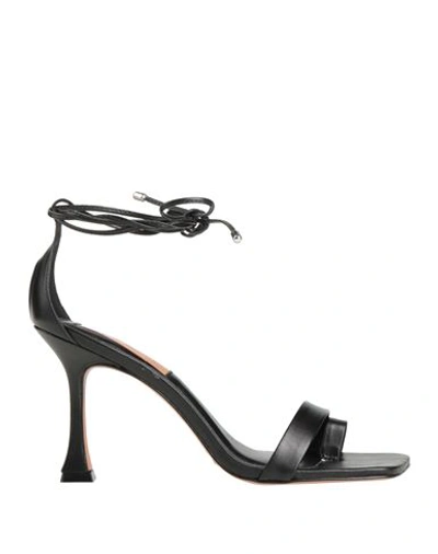 Shop Cecil Woman Thong Sandal Black Size 6 Leather