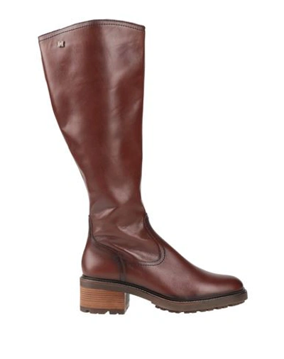 Shop Callaghan Woman Boot Cocoa Size 6 Leather In Brown