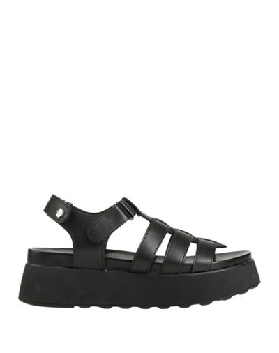 Cult Woman Sandals Black Size 8 Leather In Black