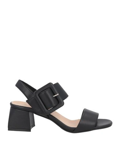 Shop Attisure Woman Sandals Black Size 8 Leather