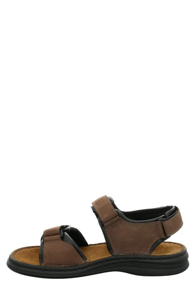 Shop Josef Seibel 'rafe' Sandal In Brasil