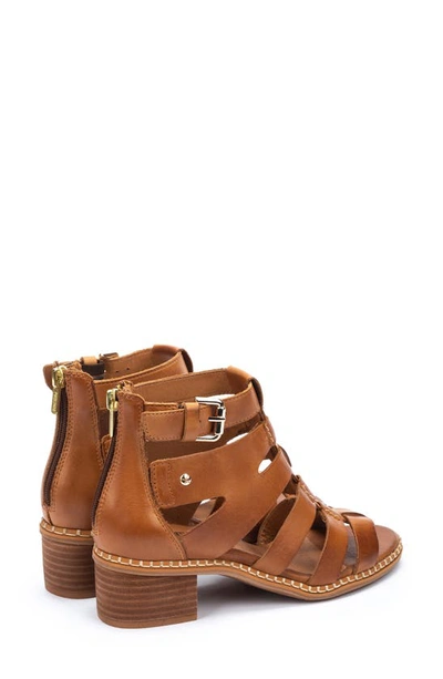 Pikolinos Blanes Cage Sandal In Brandy