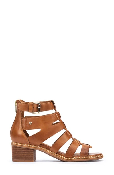 Pikolinos Blanes Cage Sandal In Brandy