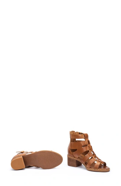 Pikolinos Blanes Cage Sandal In Brandy