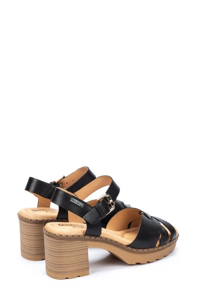 Pikolinos Canarias Ankle Strap Sandal In Black