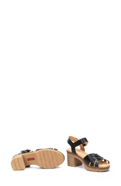 Pikolinos Canarias Ankle Strap Sandal In Black