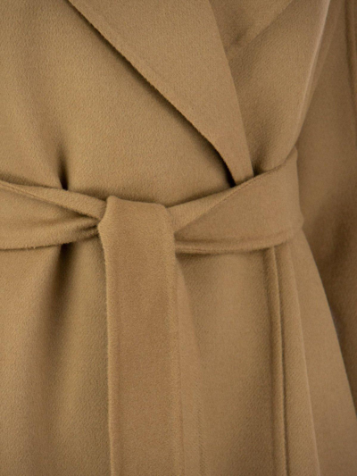 Shop Max Mara Cles Belted Coat In Cammello