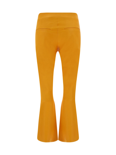 Shop Arma Lively Pants In Apricot