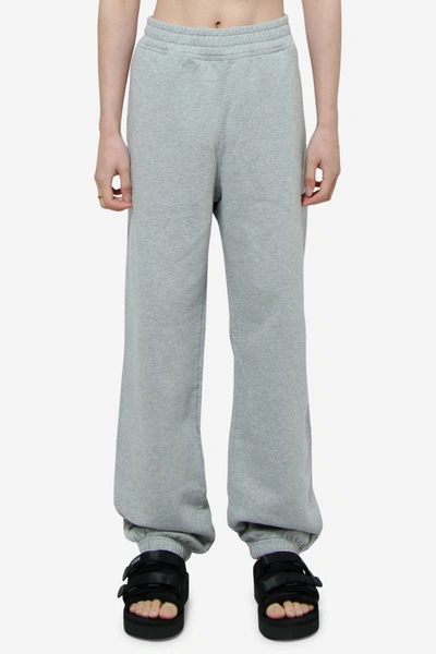 Shop Stussy Stüssy Pants In Grey